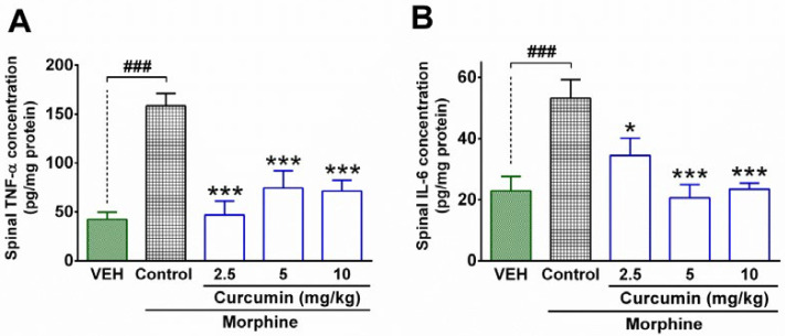 The effect of curcumin on spinal levels of inflammatory cytokines in morphine-dependent rats. The concentration of TNF-α and IL-6 were measured in the lumbar part of the spinal cord by using the ELISA method at the end of the trial (19th day). Data are expressed as mean ± S.E.M for four rats. *P < 0.05, ***P < 0.001 (compared to control); ###P < 0.001; Control: normal saline + DMSO