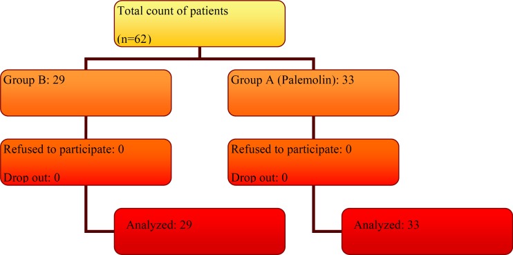 Flowchart of patient enrollment in two groups