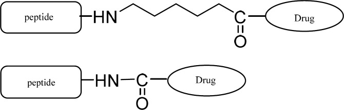 Peptide-drug and peptide-spacer-drug conjugates