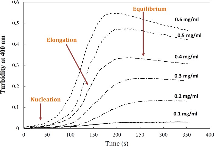 Effect of protein concentration on the kinetics of GdnHCl-induced α-crystallin aggregation at 60 °C. The final concentrations of the protein are shown within figure. Turbidity changes were normalized according to maximal change observed. The modified crystallin displayed no detectable aggregation (data not shown). Data shown are one representative example of three independent experiments. Further details are given in experimental procedures