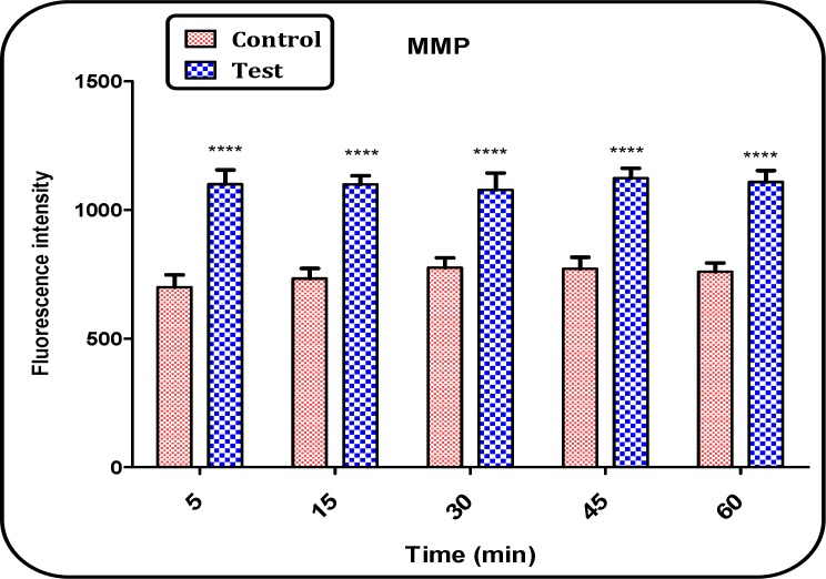 MMP decrease in the brain mitochondria isolated from both Aβ peptide treated and untreated control rat groups. MMP was measured by Rh 123 as described in Materials and methods. Values represented as mean ± SD (n = 3). **** (P < 0.0001) shows significant difference in compared with control mitochondria