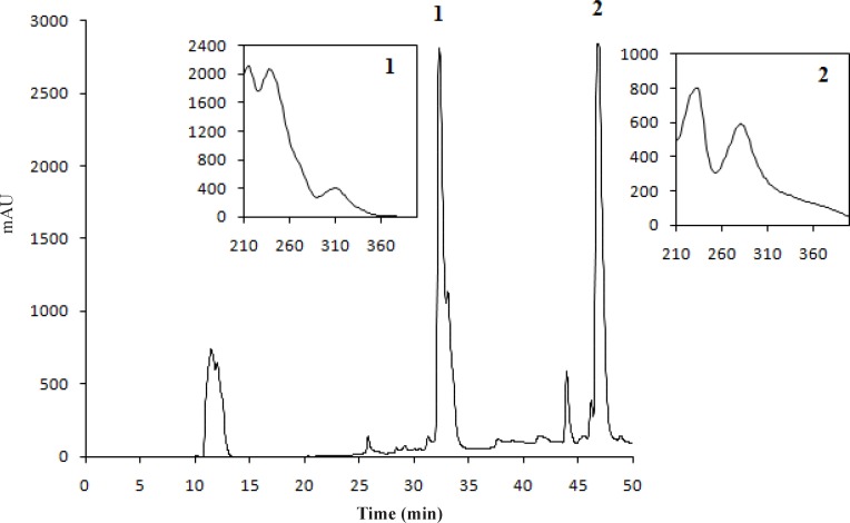 The chromatogram of U. filipendula acetone extract at 240 nm (1; stictic acid, 2; usnic acid).