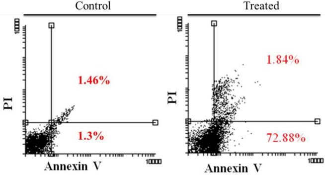 Annexin/PI flow cytometry results. Left diagram is the untreated AGS cells, and the right diagram is AGS cells which treated with 5 (μg/mL) of Hypericin for 24 h. After treatment, about 74 % of cells underwent apoptosis (right diagram, up-right and down-right quadrants) compared with untreated cells