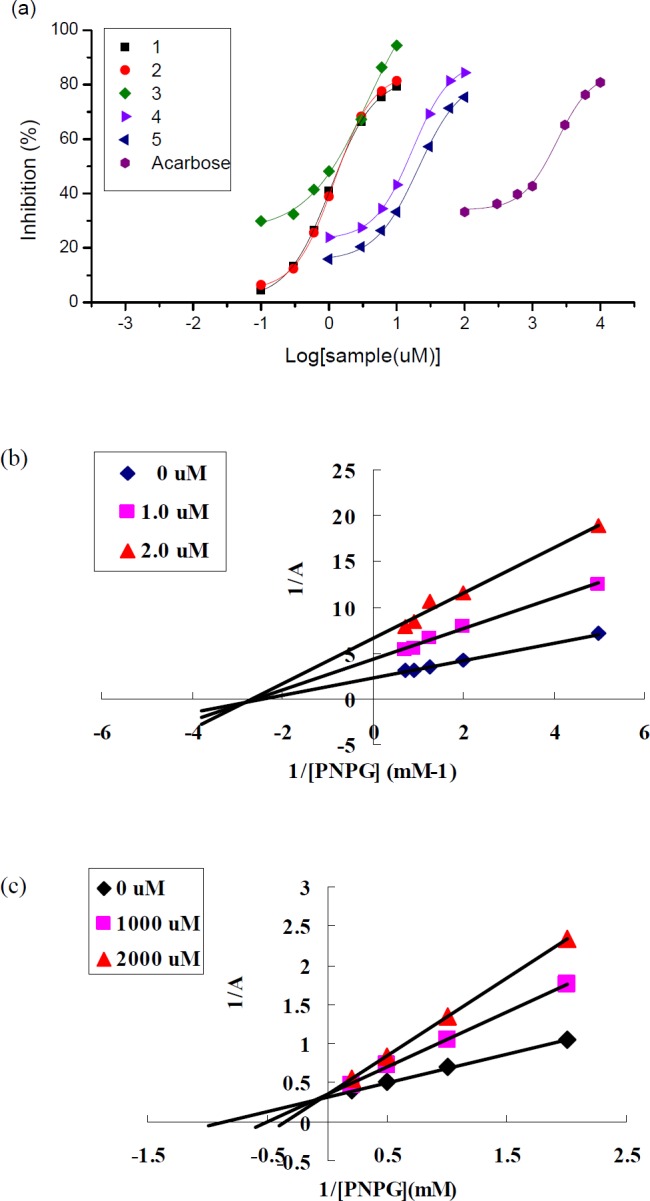 Inhibitory effects of compounds 1-5 on  -glucosidase (a) and Lineweaver-Burk plots of compound 1(b) and acarbose(c)