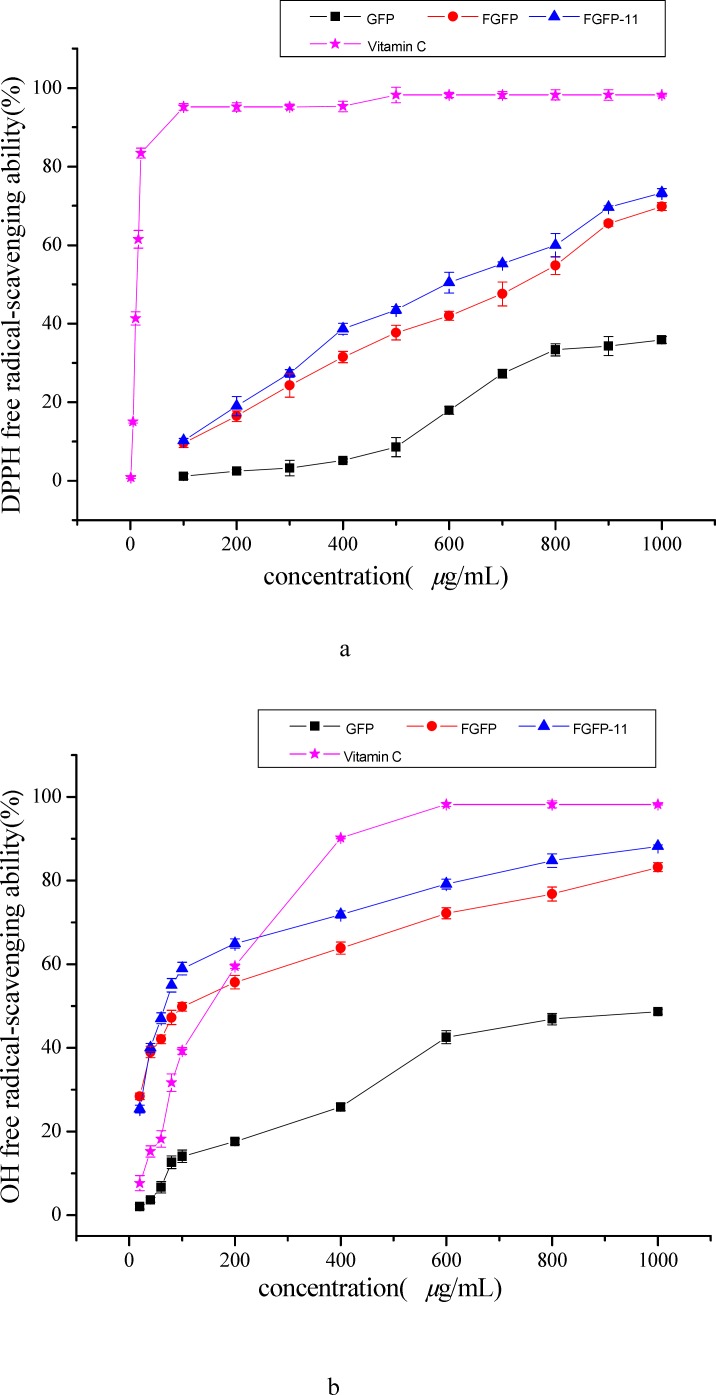 Antioxidant activities of FGFP-11 in DPPH (a), OH (b), ABTS(c) free radical-scavenging assays. Ascorbic acid was used as a positive control. Data were presented as mean ± SD (n=