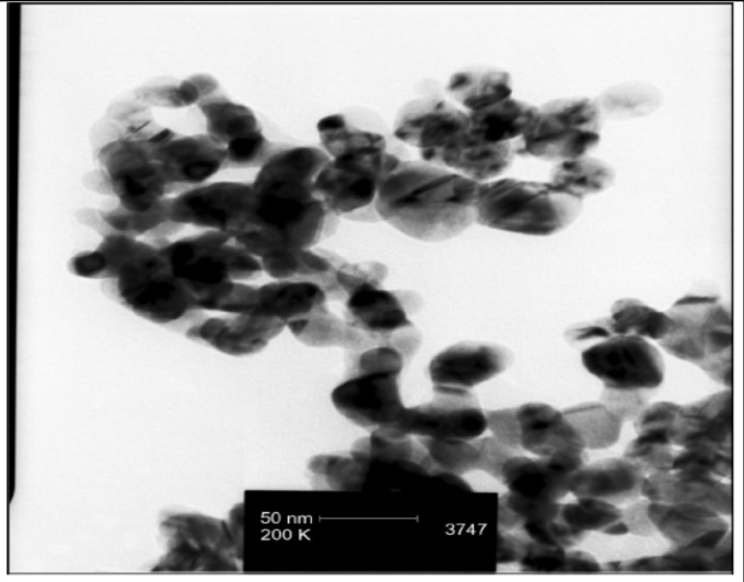 TEM image of silver nanoparticles show that the particles are < 100 nm