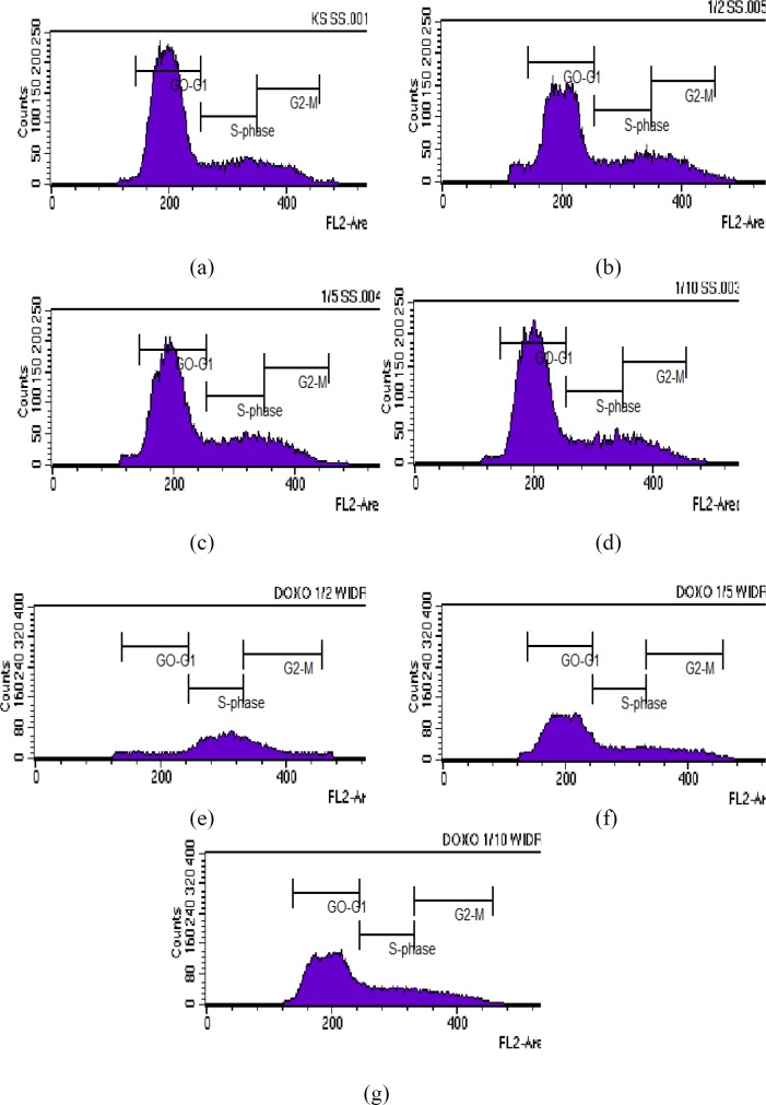 Results of cell cycle analysis in WiDr cells after treatment with various concentrations of polyisoprenoid (PI) extract from A. alba leaves and doxorubicin (1/2, 1/5 and 1/10 IC50): (a) control; (b) PI, 1/2 IC50; (c) PI, 1/5 IC50; (d) PI, 1/10 IC50; (e) doxorubicin, 1/2 IC50; (f) doxorubicin, 1/5 IC50; and (g) doxorubicin, 1/10 IC50. The known cytotoxic agents, doxorubicin has been tested as positive control (25).