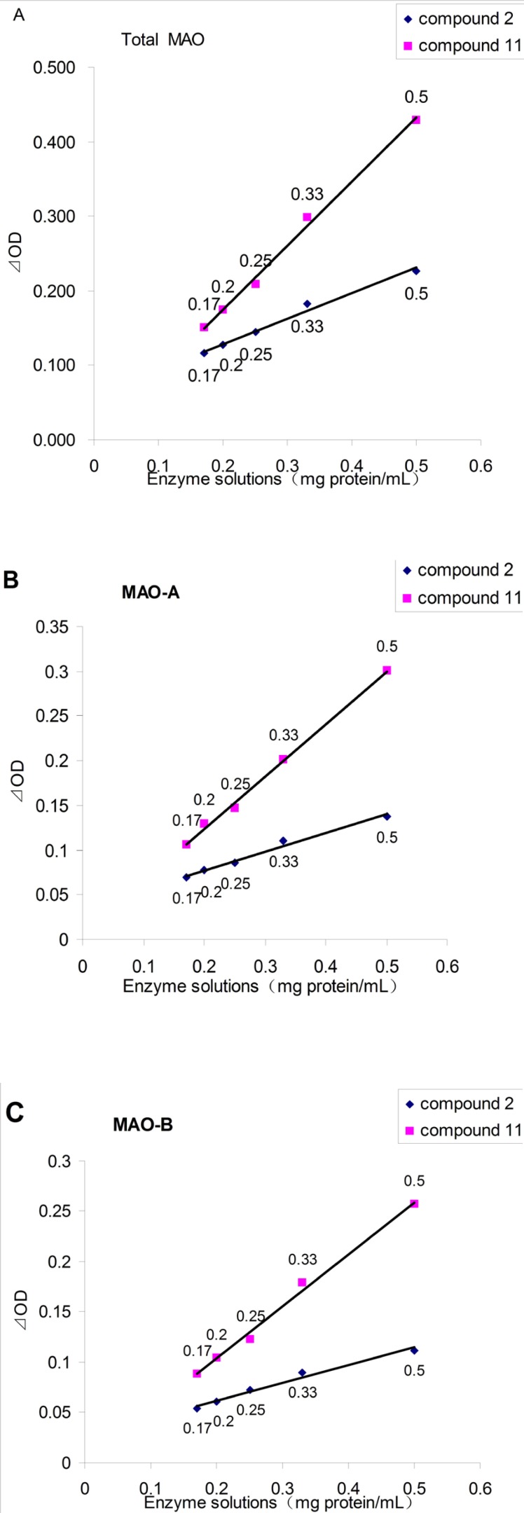 The effect of enzyme solutions concentration on the ⊿OD, as assayed by the spectrophotometric assay. A: for Total MAO; B: for MAO-A (add pargyline to inhibit MAO-B); C: for MAO-B (add clorgyline to inhibit MAO-A).
