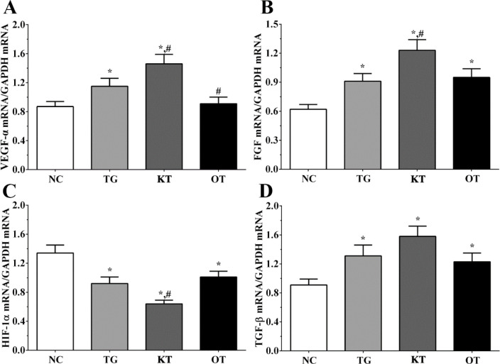 Effect of taxifolin on expression of angiogenesis related genes of cardiomyocytes. (A) Expression of VEGF-α mRNA. (B) Expression of FGF mRNA. (C) Expression of HIF-1α mRNA. (D) Expression of TGF-β mRNA. *P < 0.05 vs. NC group, #P < 0.05 vs. TG group. Data was presented as a mean ± SD. Each experiment was repeated for three times independently