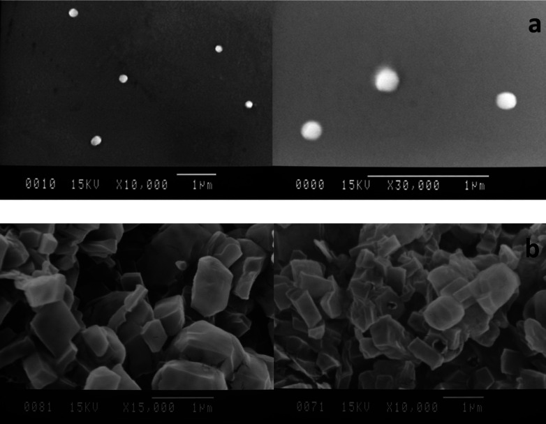 SEM images of the particles, (a) optimized SLNs; (b) DPI formulation