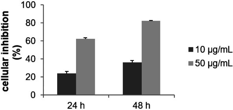 Effect of F9 acetone fraction on the growth of MCF-7 cells. Cells were treated with the indicated concentration for 24 and 48 h. Cytotoxicity was evaluated by MTT assay