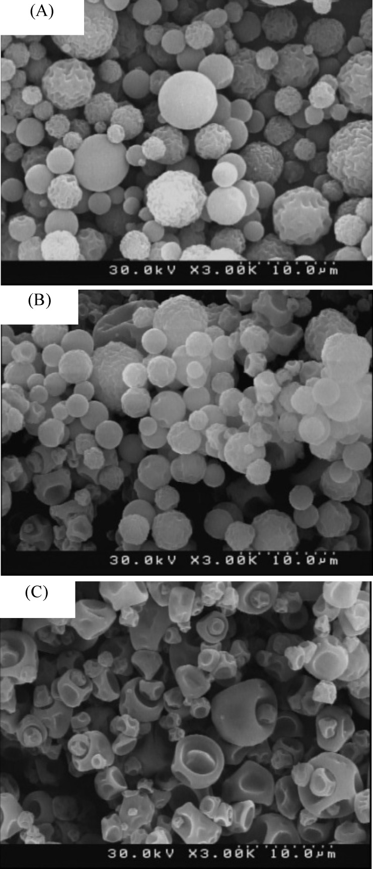 FESEM images of the microparticles for (A) group 1, (B) group 2 and (C) group 3.