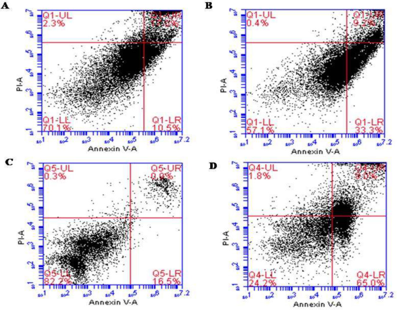 Apoptotic effect of ALR (0.03 mg/mL for 48 h) using Annexin V/PI Flow cytometry analysis of esophageal and stomach cancer cell lines. (A) KYSE-30 cells were double-stained with Annexin V and PI (Control). (B) The rate of apoptosis of KYSE-30 cells treated with AlR. (C) AGS cells were double-stained with Annexin V and PI (Control). (D) The rate of apoptosis of AGS cells treated with AlR