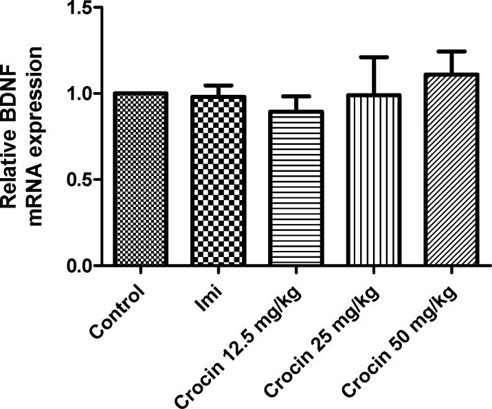 Effect of crocin on BDNF mRNA level in the rat cerebellum using real time PCR. The transcript level of each sample was normalized against β-actin transcript level. These reactions are representative of four separate experiments. Data are expressed as the mean ± SEM