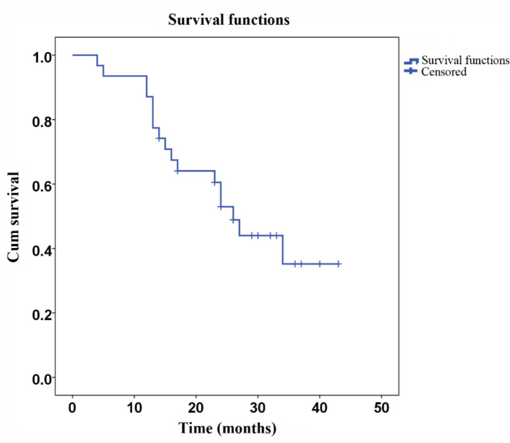 Disease free survival after surgery. Kaplan-Meier plot of DFS for 31 gastric cancer patients. The median DFS was 27.5 months