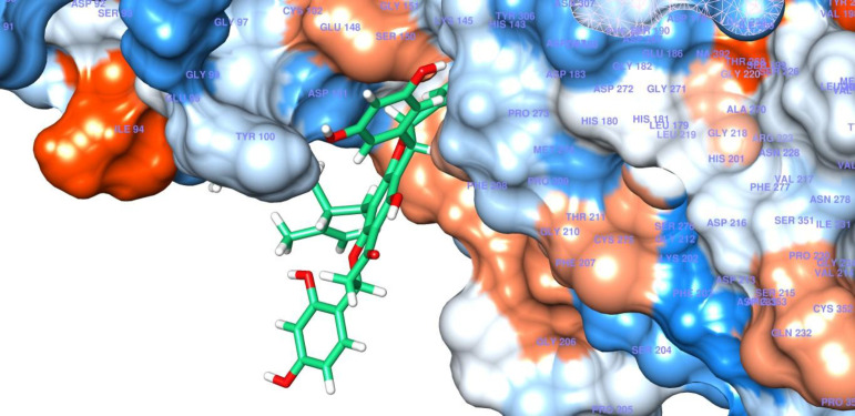 Docking model structure of compound 4 into the active site of HDAC8 protein binding pocket