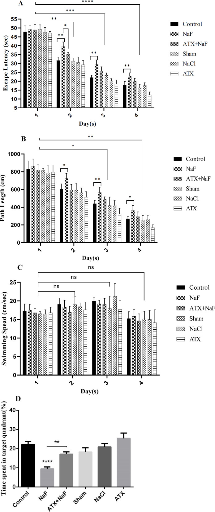 Effect of ATX administration on learning and memory changes induced by NaF using the MWM test. The mean value of path length (swimming distance), escape latency (time for finding a hidden platform), and swimming speed (velocity) during four continuous trial days in all treated and control groups are represented in A, B, and C, respectively. (D) The time spent in the target quadrant (%) was assessed by a probe test. The rats were treated with 270 ppm NaF alone (NaF), 25 mg/kg bw/day ATX pretreated (ATX+NaF), and 25 mg/kg bw/day ATX alone (ATX). The control group received no treatment, while sham and NaCl groups were treated with olive oil and NaCl solution, respectively