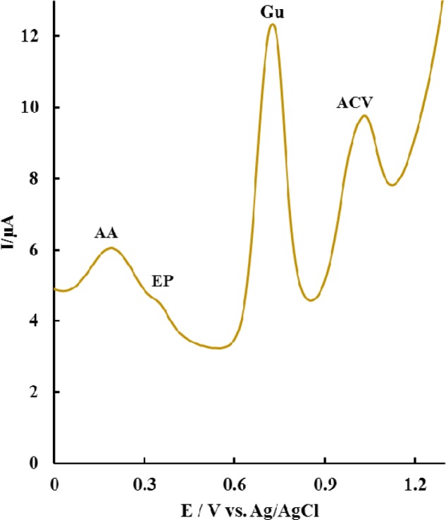 DPV of ACV (2.24 µg mL-1) in the presence of 11.26 µg mL-1 ascorbic acid (AA), 2.24 µg mL-1 epinephrine (EP), 6.75 µg mL-1 guanine (Gu)