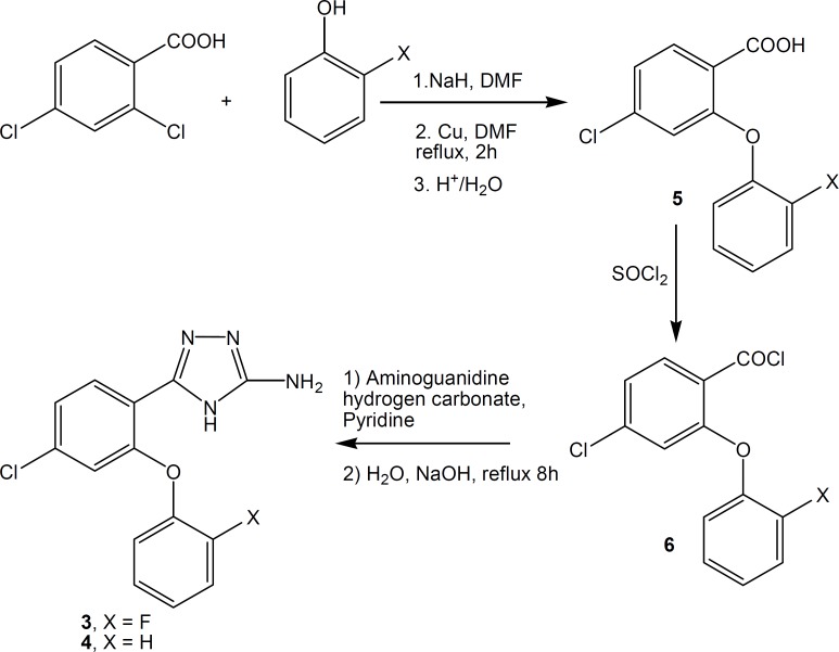 Synthesis scheme of compounds 3 and 4