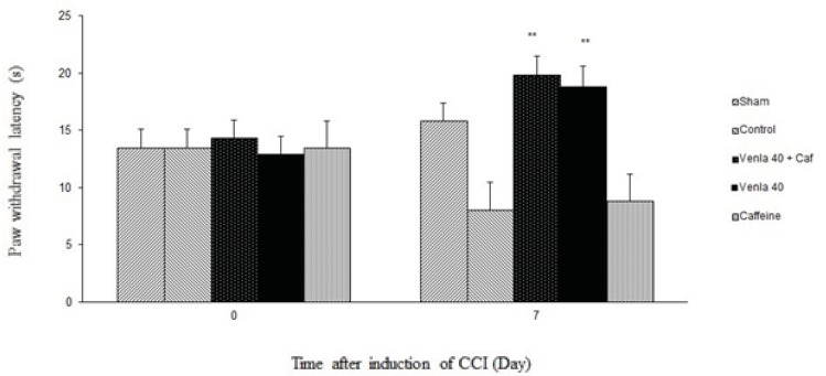 The effect of caffeine (5 mg/Kg i.p.) on antihyperagesic effect of acute treatment with venlafaxine (40 mg/Kg i.p.).