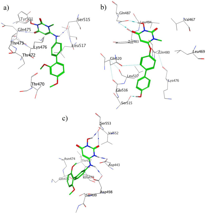 3D of ligand-receptor interactions for 13 (a), 30 (b) and 59 (c) in the active site of HIV RT-associated RNase H