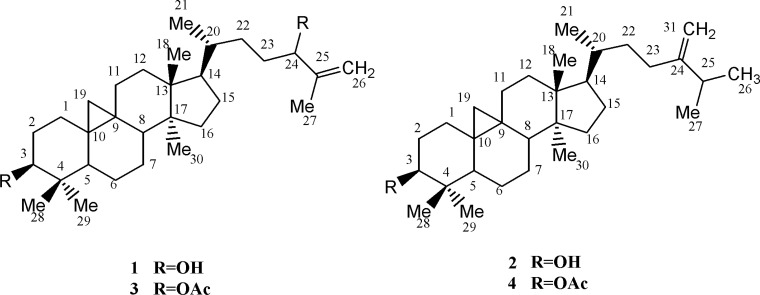 Cycloartanes from E. aellennii and their acetylated derivatives (1-4).