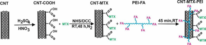 Functionalization of f- MWCNT with MTX, PEI and FA