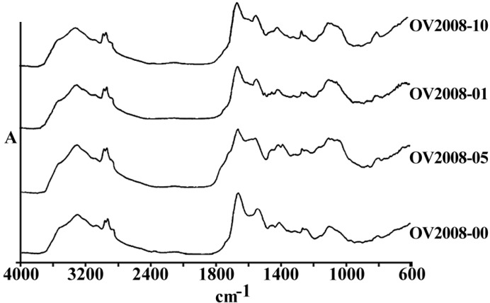 Comparison of spectral peaks shifts on four peaks corresponding to the cellular absorbance of carbohydrates, symmetrical and unsymmetrical stretching of phosphate bands in three human cell lines (upper graphs) and their cisplatin resistant variants (CPs in lower graph