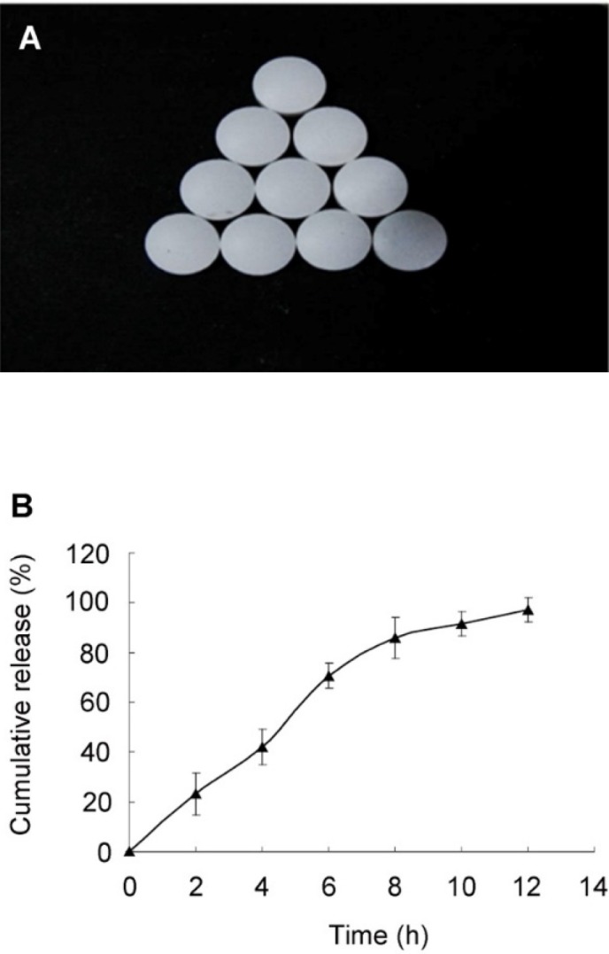 The (A) morphology and (B) in-vitro release of the optimal SRL-SMEDDS tablets