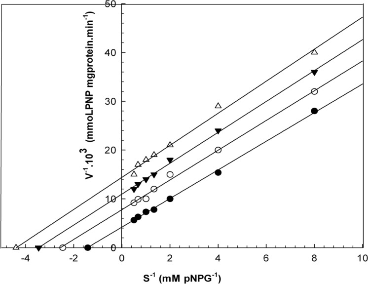 Lineweaver-Burk plots derived from the inhibition of α-glucosidase by R-(+)-limonene. α-glucosidase was treated with each stated concentration of pNPG (0.125-2 mM) in the absence and presence of R-(+)-limonene. The concentrations of R-(+)-limonene were: (●) no inhibitor; (○) 0.290 μL/mL; (▼) 0.582 μL/mL; and (Δ) 1.180 μL/mL. The enzyme reaction was performed by incubating the mixture at 37ºC for 30 min.