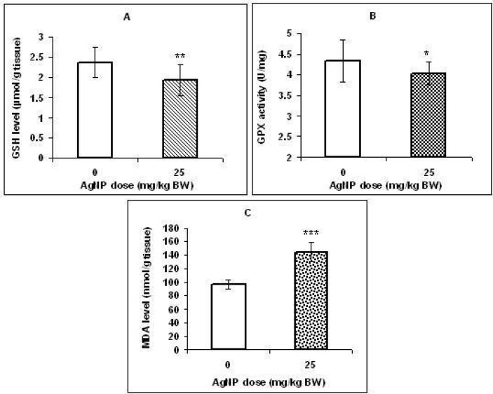 Effect of AgNPs on the GSH level (A), GPX activity (B), and MDA level (C) in the rat offspring livers that prenatally exposed to AgNPs. Values represent means ± SD. N = 16. *p < 0.05, ** p < 0.01, ***p < 0.001 (significantly different from control group