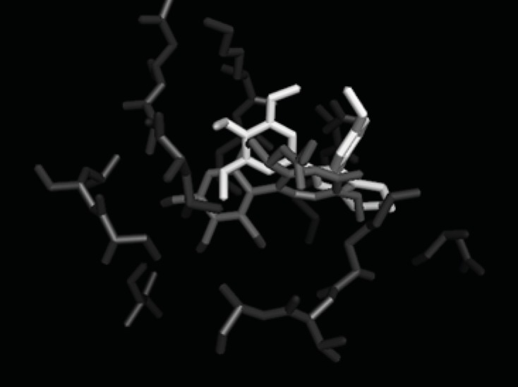 Molecular Modeling: good superimposition of the trimethoxyphenyl moiety of the synthesized compound 7a with the corresponding ring of colchicine.