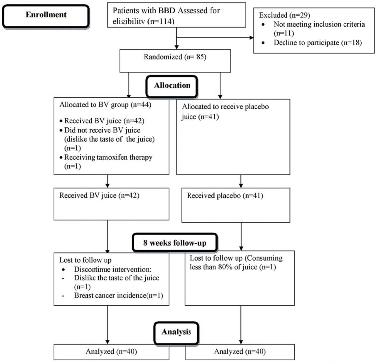 CONSORT flow diagram of the progress through different time compartments of a parallel randomized trial of BV and BV placebo received groups during 8 weeks of intervention. BBD, breast benign tumor disorder; BV, Berberis vulgaris