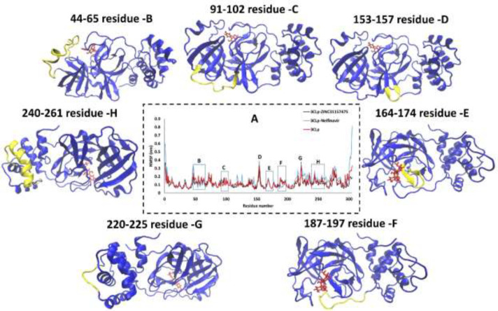 (A) RMSF of 3CLp-ZINC31157475, 3CLp-Nelfinavir, and 3CLp, 200 ns during the MD simulations, the residues 44-65 (B), residues 91-102 (C), residues 153-157 (D), residues 164-174 (E), residues 187-197 (F), residues 220-225 (G), and residues 240-261 (G) are shown in the 3CLp structure (Yellow).