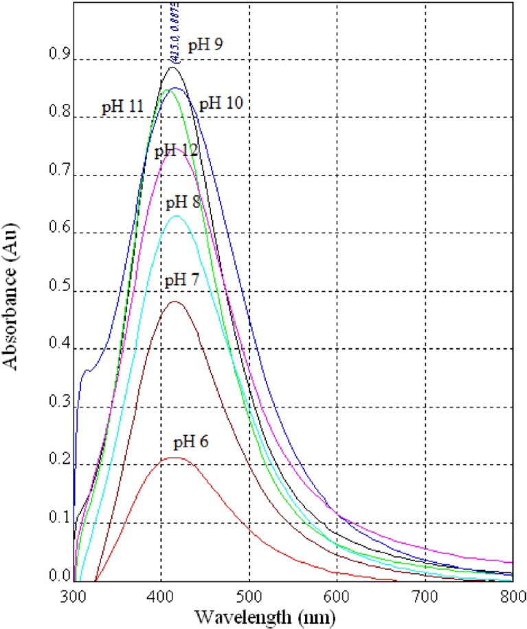 UV-Vis spectra of AgNPs synthesized using diluted CS (1:1) from the fungus C.phaseosporaatdifferent pH values