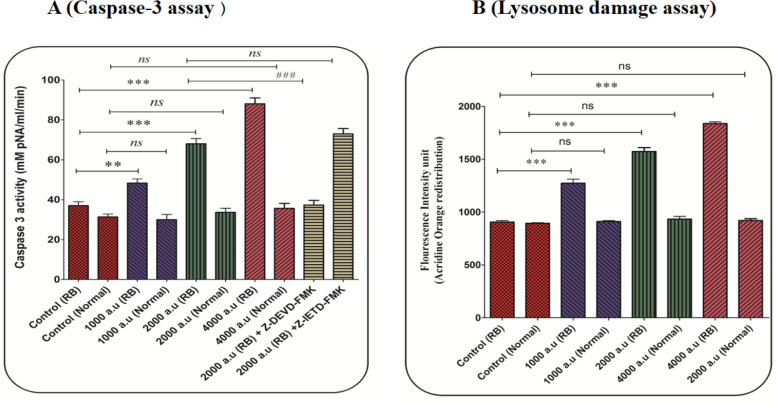 (A) Caspase-3 activity assay. Caspase-3 activity was evaluated using the Sigma Caspase-3 assay kit. The effect of CAP (1000, 2000, and 4000 a.u.) on caspase-3 activity in the retinoblastoma and normal groups. Data are presented as mean ± SD (n = 3). *** show a significant difference in comparison with the corresponding control (P < 0.001(. ### show a significant difference between 2000 a.u with 2000 a.u plus z-DEVD (P < 0.001(. (B) Lysosomal damage assay. The effect of CAP (1000, 2000, and 4000 a.u.) on lysosomal damage in the normal and retinoblastoma groups. Data are shown as mean ± SD (n = 3). *** show a significant difference in comparison with the corresponding control (P < 0.001)
