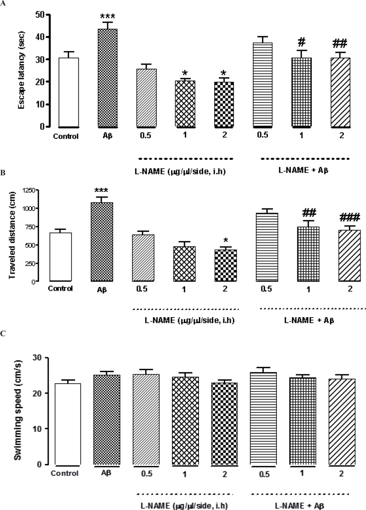 Effects of different concentrations of L-NAME infusion on escape latency (A), traveled distance (B), and swimming speed (C) during the testing trials. Hippocampus infusion of L-NAME (1, 2 μg/side, i.h) showed a significant decrease in escape latency compared to the control group. Treatment by L-NAME (2 μg/side, i.h) decreased traveled distance significantly comparing to the control group (Figures 2 A and B).There was no significant difference in swimming speed between the control and the treatment groups (Figure 2C). Intra-hippocampal infusion of Aβ significantly increased the time and distance for finding the hidden platform comparing with the control group. Intra-hippocampal infusion of 1, 2 (μg/side) of L-NAME with Aβ decreased the time and distance for finding the hidden platform significantly in comparison with Aβ treated animals. Each point explains Mean ± S.E.M for 6-8 rats. (*P < 0.05; ***P < 0.001 different from control group, #P < 0.05; ##P < 0.01; ###P < 0.001 different from Aβ-treated group