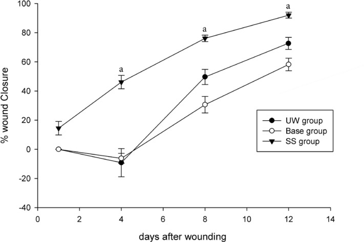 Effect of Simvastatin on wound closure rate in laboratory rats; untreated wounded (UW), gel base treated and SS-treated wounds in rats. Each point represents the mean (±SE) of twelve wounds. “a”: P<0.05, SS-treated group vs. UW and gel base treated groups