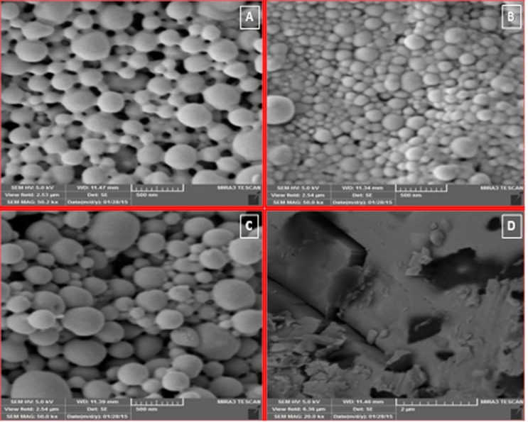SEM images of ketotifen fumarate (KF) nanoparticles containing F3 (KF:PLGA) 1:10 ratio 50000x(A), F3 blank 50000x(B), F2 (KF:PLGA) 1:7.5 ratio 50000x(C), KF 20000x(D