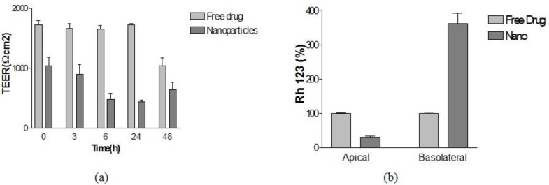 Evaluation of BBB Permeability by PLGA nanoparticles; the effect of nanoparticles and free drug on nanoparticles with TEER measuring (a) and the amount of rhodamine 123 in the apical and basolateral parts of the BBB model after treating with PLGA NPs and free drug