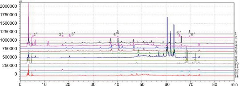 Chromatogram of granule and Chinese herbal medicine in 360 nm and 273 nm Wavelength Note: The number of 1, 3, 5, 7, 9, 11 and 13 were the chromatograms corresponding to mixed standard solution, WWCYNG, Niuerfeng, Laliao, Baishu, Fuling and Guanghuoxiang under 360 nm conditions, respectively. The number of 2, 4, 6, 8, 10 and 12 were the chromatograms corresponding to mixed standard solution, WWCYNG, Niuerfeng, Laliao, Baishu, Fuling and Guanghuoxiang under 273 nm conditions, respectively. The number of 1’, 2’, 3’, 4’, 5’and 6’ were the compents corresponding to Gallic acid (tR:5.337 min), Pachymic acid（tR:17.386 min), Chlorogenic acid (tR:20.314 min), Rutin (tR:40.439 min), Atractylenolide Ⅰ (tR:65.557 min) and Apigenin ( tR:69.453 min), respectively.