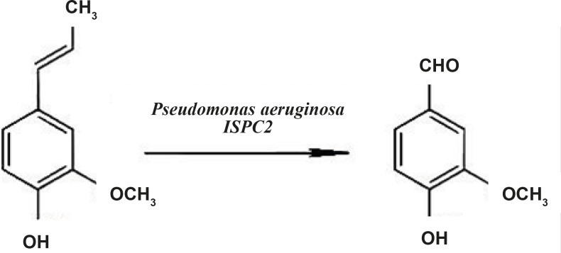 Vanillin production from isoeugenol by Pseudomonas aeruginosa ISPC2