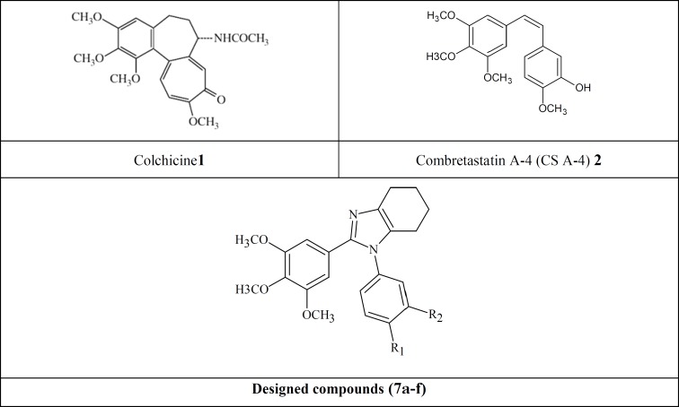 Tubulin inhibitors, lead compounds (CS A-4 and Colchicine), and our designed scaffold.