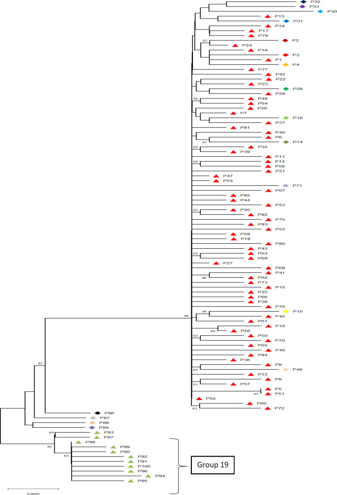 The evolutionary history was inferred using the Neighbor-Joining method (39). The percentage of replicate trees in which the associated taxa clustered together in the bootstrap test (2000 replicates) are shown next to the branches (40). The results of ABGD delimitation method is shown next to samples
