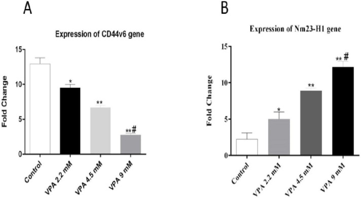 Effect of different concentrations of VPA on the expression of Nm23-H1 and CD44v6 gene after 72 h incubation. *(P ˂ 0.01), **(P ˂ 0.001), compared to control cells, #(P ˂ 0.001) compared to 2.2 and 4.5 mM of VPA