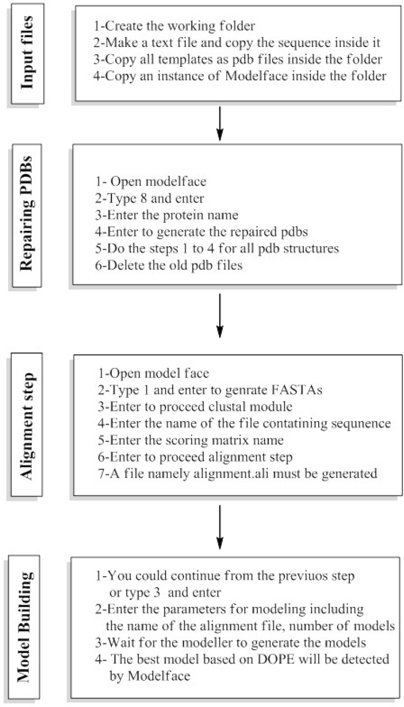 The experimental procedure of homology modeling using modelface