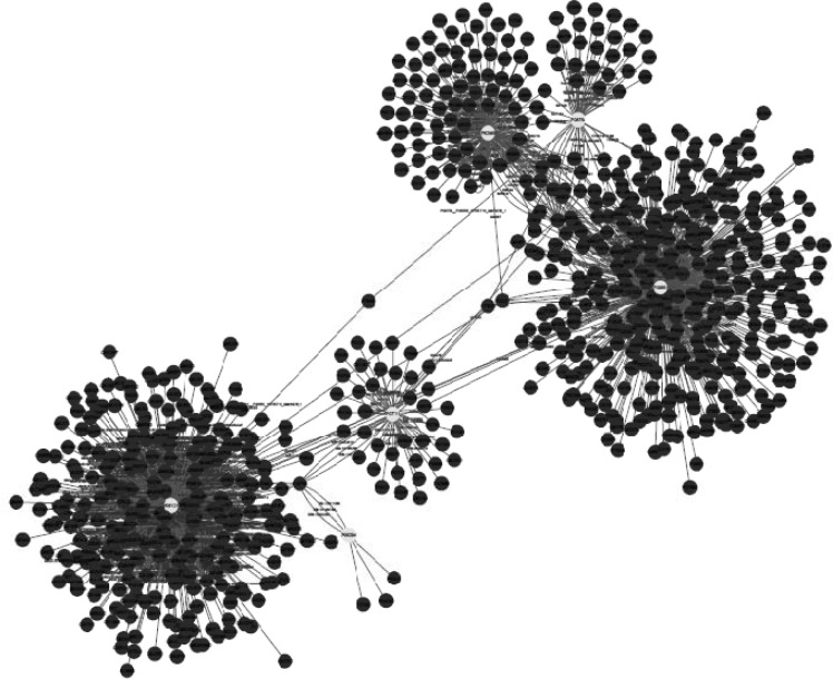 Protein-protein interaction of six proteins involved in ethanol network in which the number of nodes is 796 and edges is 1177. (Designate proteins are shown in highlights). HNRNPA1 with 517 and SERPINE1 with 353 nodes are considered as hub proteins based on degree and betweenness centrality scores