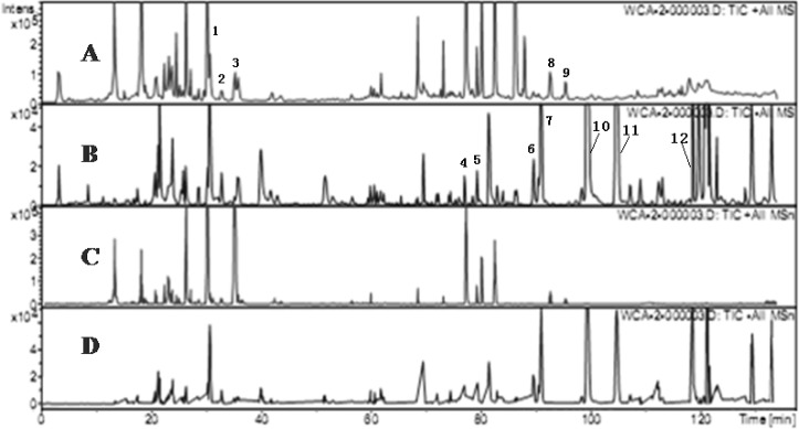 Chromatograms of WCA by HPLC-MS (A) TIC chromatogram in ESI positive mode.(B) TIC chromatogram in negative ESI mode. (C) TIC chromatogram of MSn in ESI positive mode. (D) TIC chromatogram of MSn in ESI positive mode.
