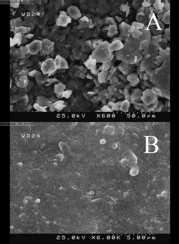 SEM images of (A) CPE and (B) CILE surfaces