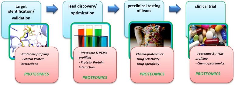 Drug discovery process. Proteomics technology by protein analysis (global protein profiling, protein- protein interaction profiling, PTMs profiling and chemo-proteomics) contributes in different steps of drug discovery process that shown with red color